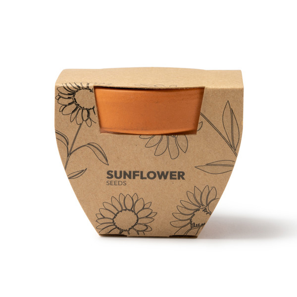Macetero de terracota personalizado con semillas de girasol