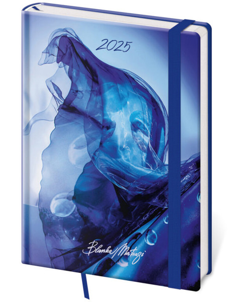 Denní diář Vario 2027, A5 - Blue steel