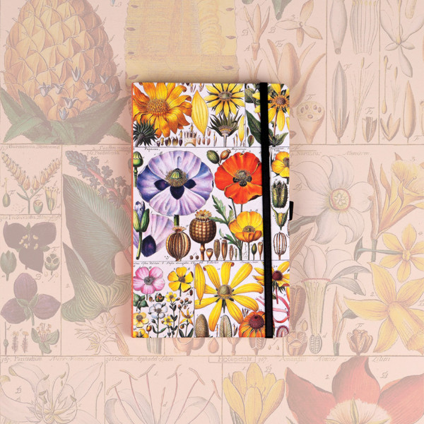 Notique Notes Herbář Kateřiny Winterové, Tečkovaný, 13 x 21 cm