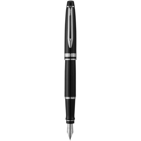 Waterman Expert fountain pen