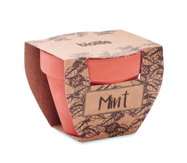 Mint Pot terracotta herb set, 60x55x50 mm