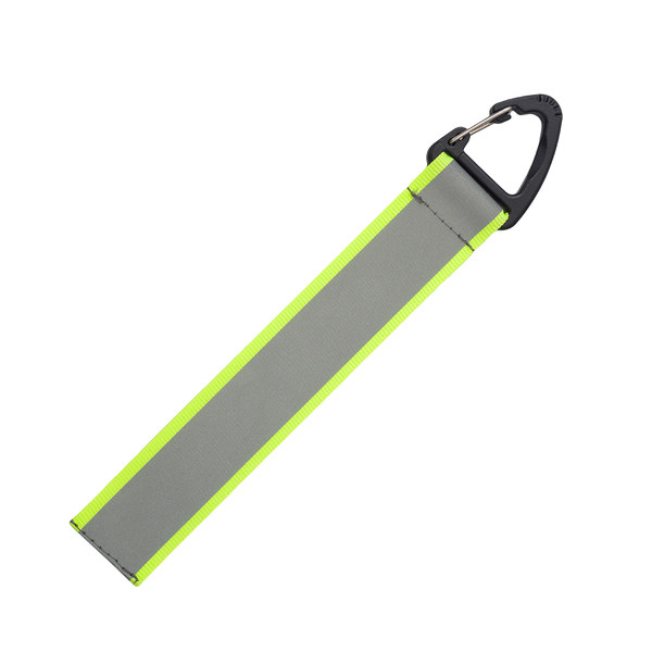 Flashy tag with carabiner