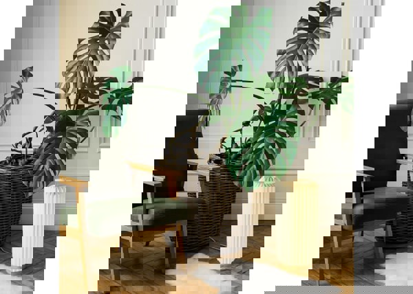 Coollux foldable paper LED lamp Aurora Tall on wooden base, 32cm - Nature