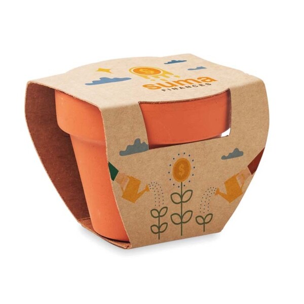 Terracotta pot (available in 4 sizes) with your choice seed and custom packaging - Ø4,8/H4 cm / Sunflower