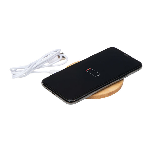 Inductive Charger Mons