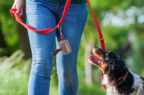 Distributeur sur mesure de sachets pour chiens RPET. Pavesave - Blanc