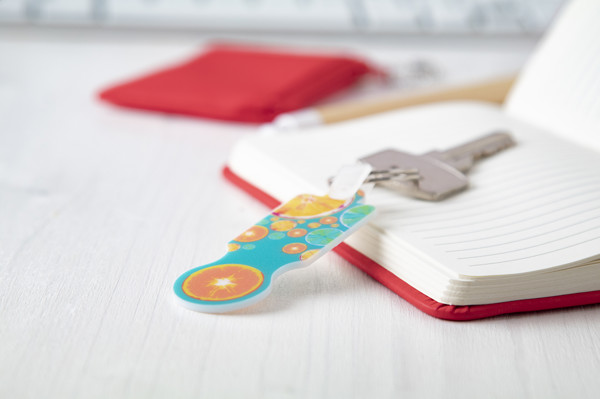 Trolley Coin Keyring ColoCart