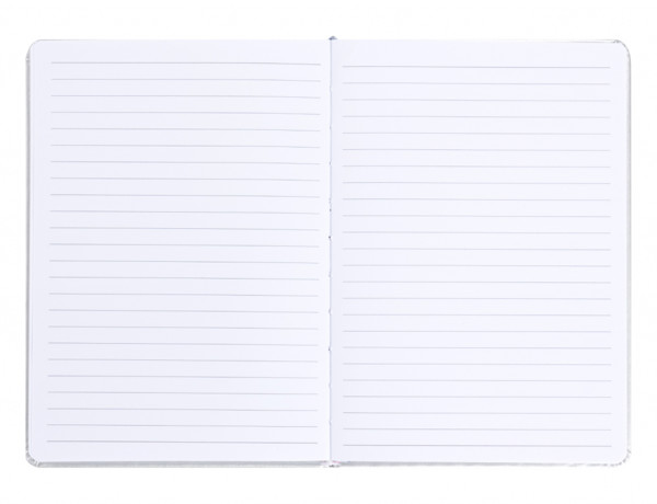 Baagl Notes Nasa Stříbrný
