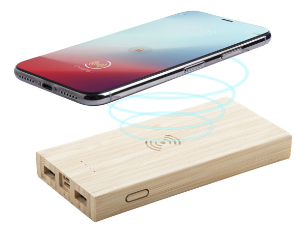 Power Bank Wooster
