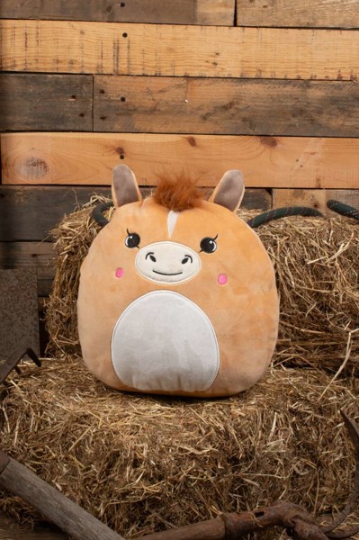 Squidgy's - Squidgy Ginger Cat