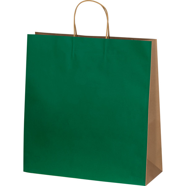 Big recycled paperbag with 2 handles GUS - Green