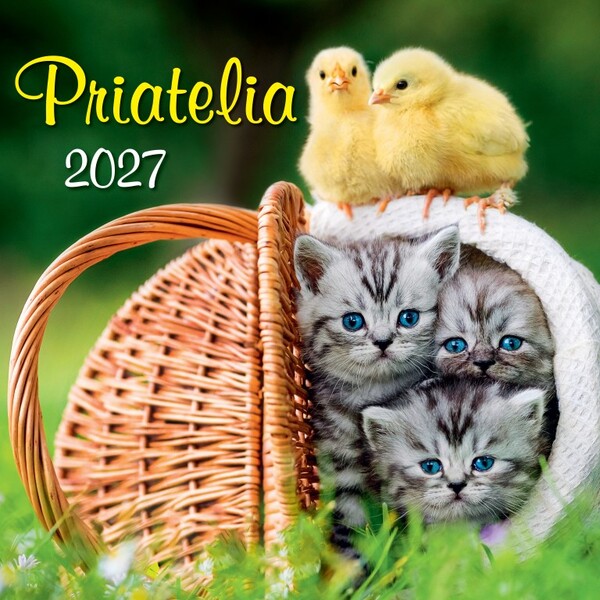 Nástenný Kalendár Priatelia 2027