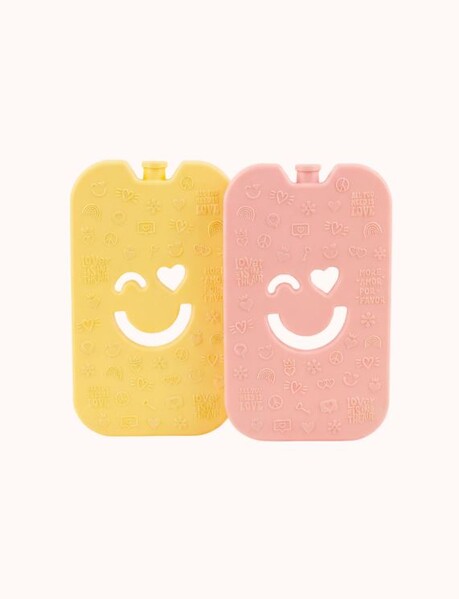 Lot de 2 Pain de Glace Polarbox 