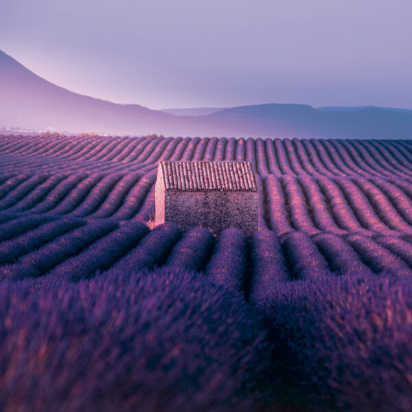 Notique Poznámkový Kalendář Provence 2027, 30 x 30 cm - Východní