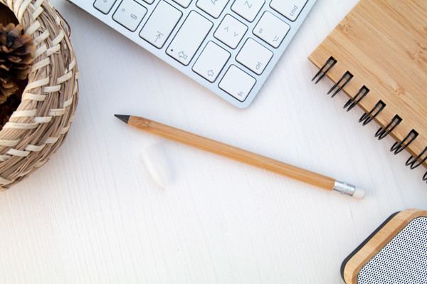 Bamboo Inkless Pen Bovoid