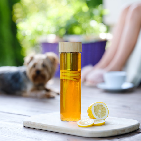 600 ml Gourmet glass bottle with tea infuser