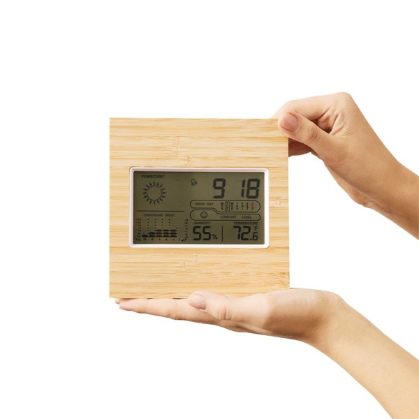 Wetterstation Forecast
