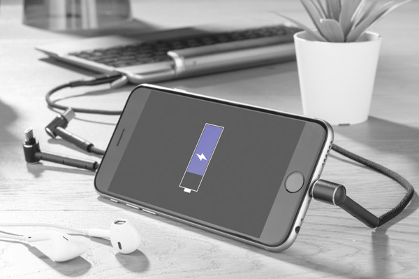 6 in 1 USB cable RICO - black