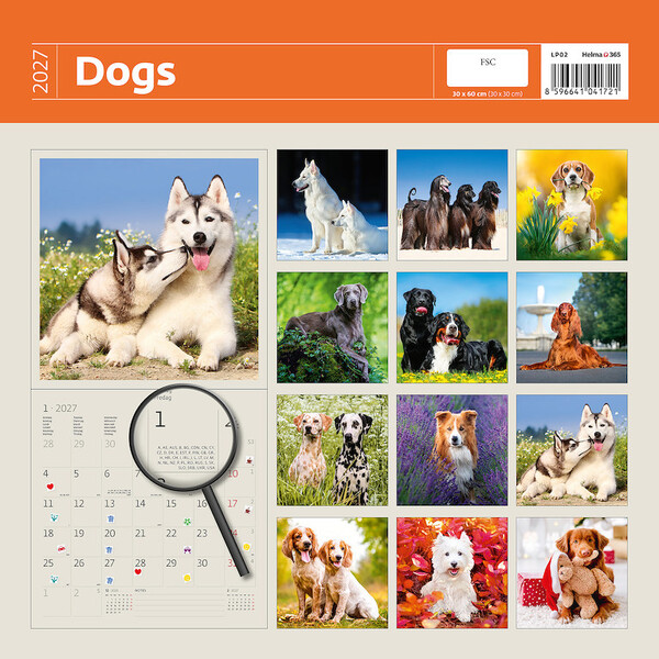 Calendar Dogs