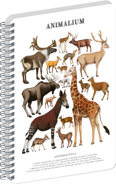 Notique Spirálový Blok Animalium – Sudokopytníci, Čistý, A5