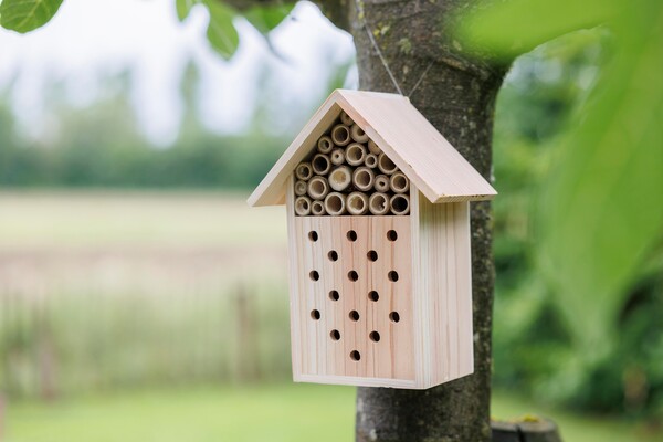 Bee house Fahim | Recycled wood
