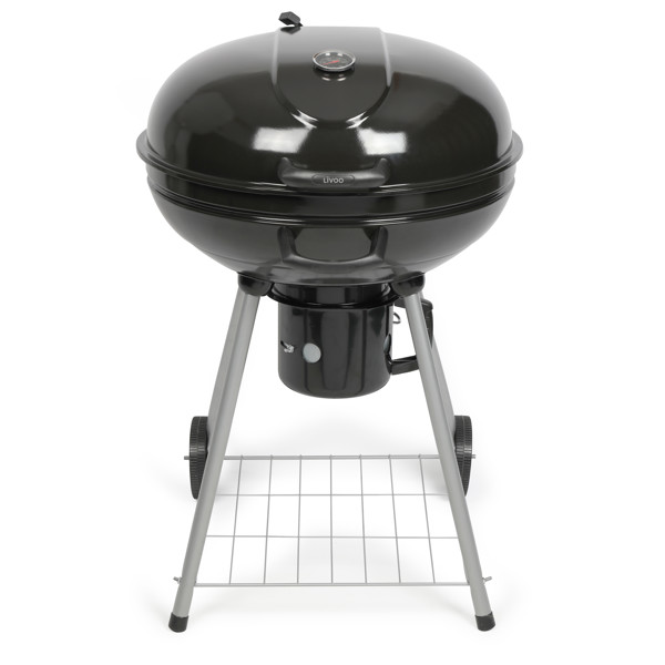 Barbecue à charbon