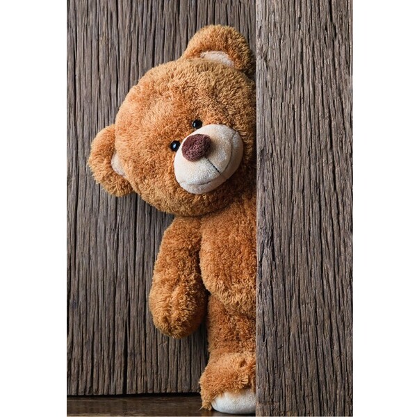 Oso cuddly toy