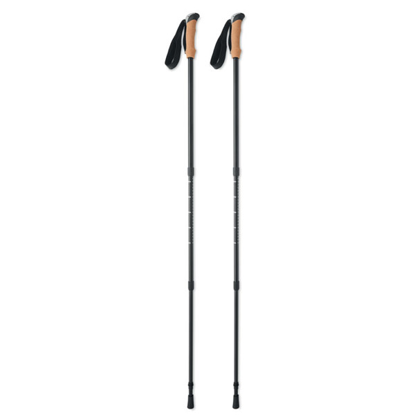 Nordic walking poles Nole