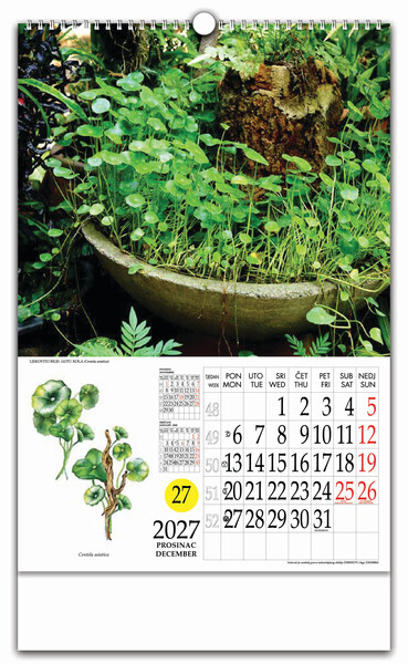Zidni kalendar s rotacijskim krugom – Ljekovito bilje