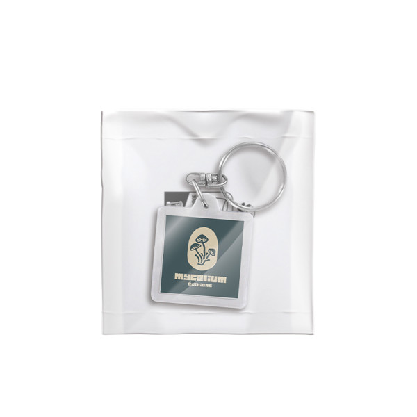 TRANSPARENT KEY-RING & LABEL HOLDER