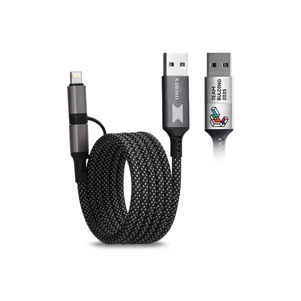 CABLE DE CHARGE 6 EN 1 A ENROULEMENT MAGNETIQUE - Argent