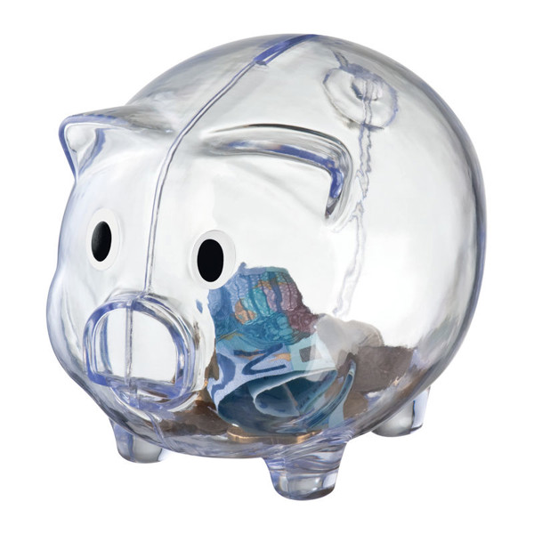 Kasica prasica Leicester - Transparent