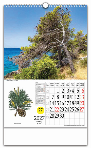 Zidni kalendar s rotacijskim krugom – Ljekovito bilje