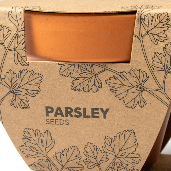 Set de maceteros personalizados con semillas de perejil y albahaca