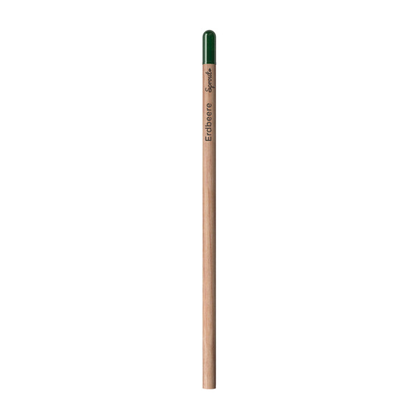 Sprout | Pencil - Sauge Écrites En Allemand