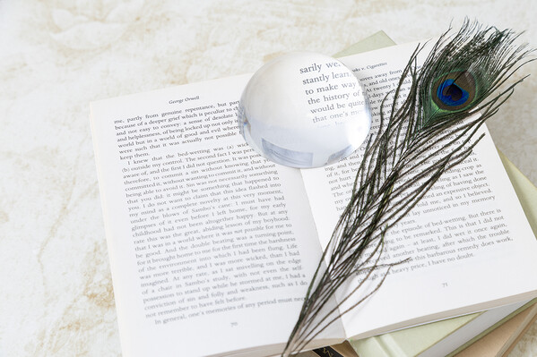 Presse-papiers Hemisphere