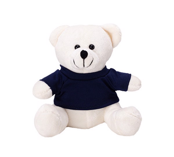Bear cuddly toy