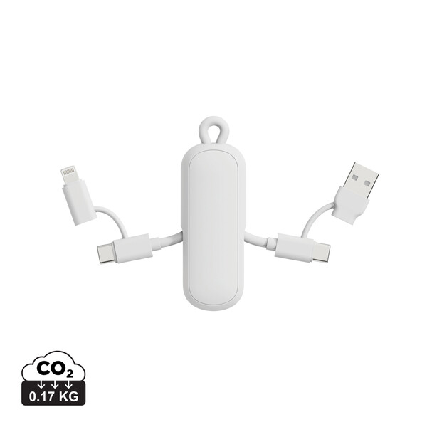 Urban Vitamin Dublin 100W 4 -in-1 keychain cable - White