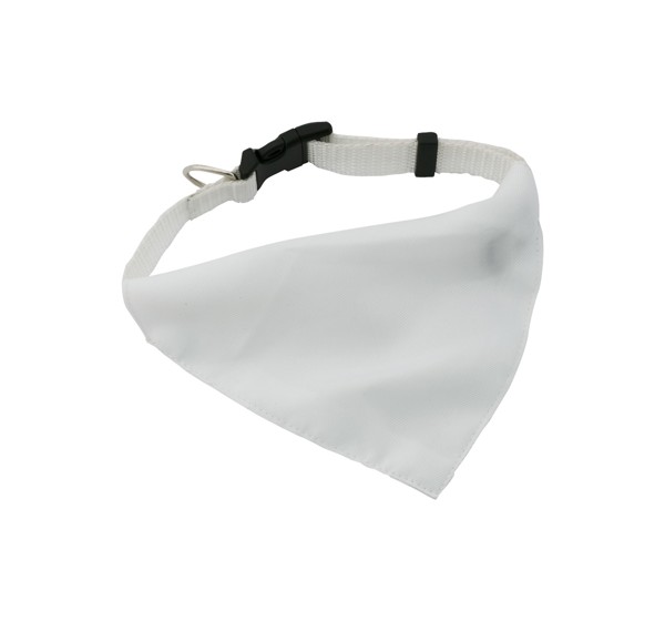 Dog's Collar Rex - White