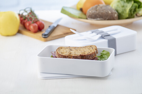 Antibacterial Lunch Box Ayam