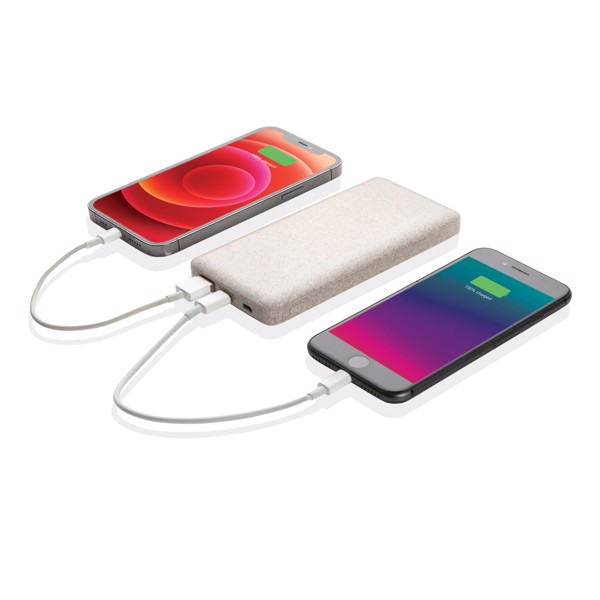 Anvil powerbank 10000 mAh, dvojni USB izhod