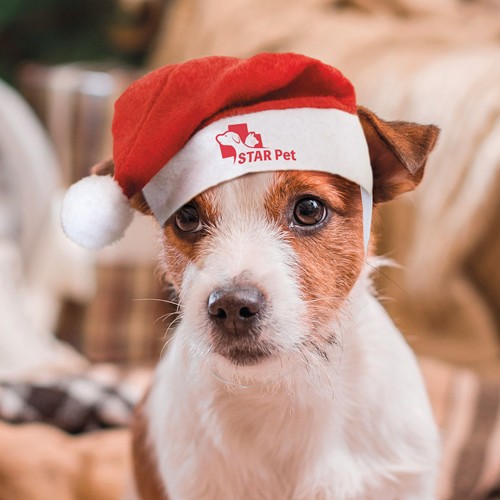 GORRO NATALICIO PARA ANIMAIS DE ESTIMAÇÃO "PIPO"