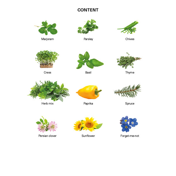 Growing advent calendar eco L, seed bags