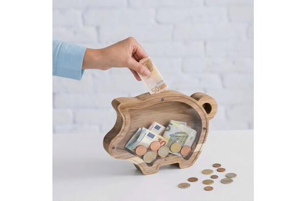 PennyVista Sparschwein