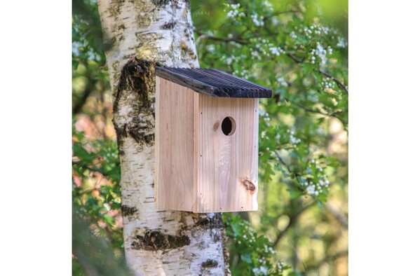 Bird house FSC wood, 30mm opening