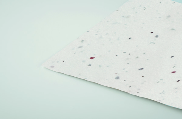 Wildflower seed business card. Asida