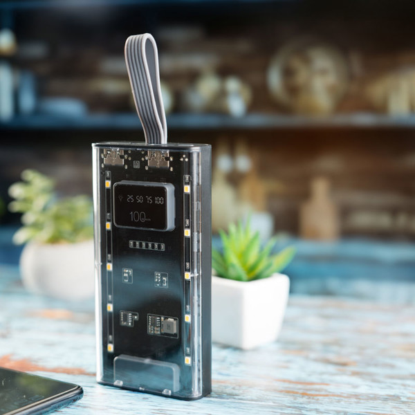 Power Bank Darwin 10,000 mAh