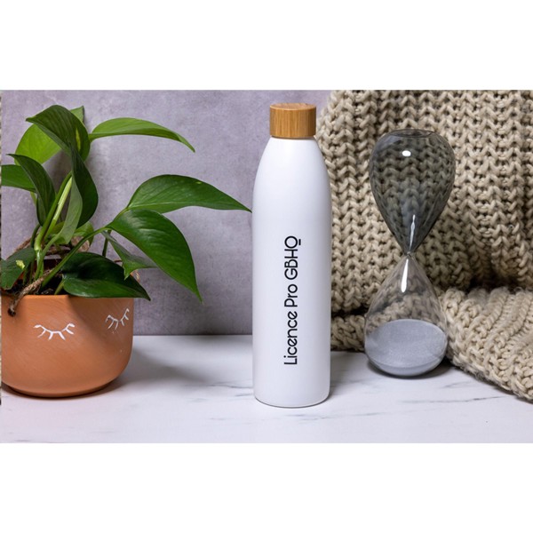 Natural Bottle Slim 500 ml bouteille