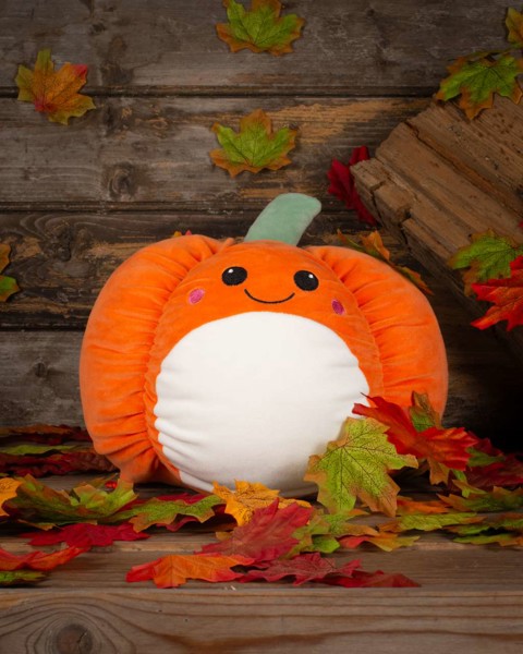 Squidgy's - Squidgy Ginger Cat