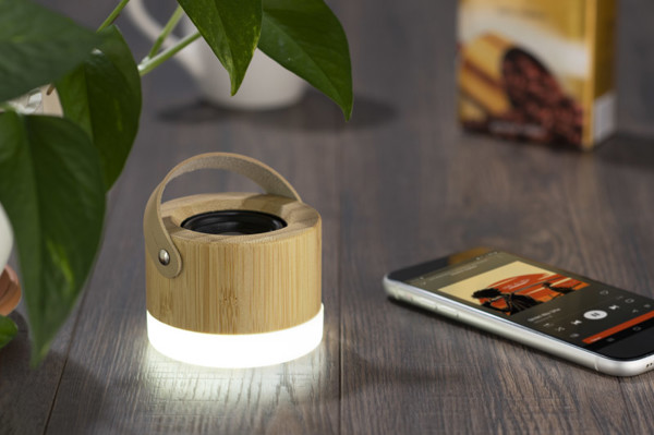 Wireless speaker RORAT